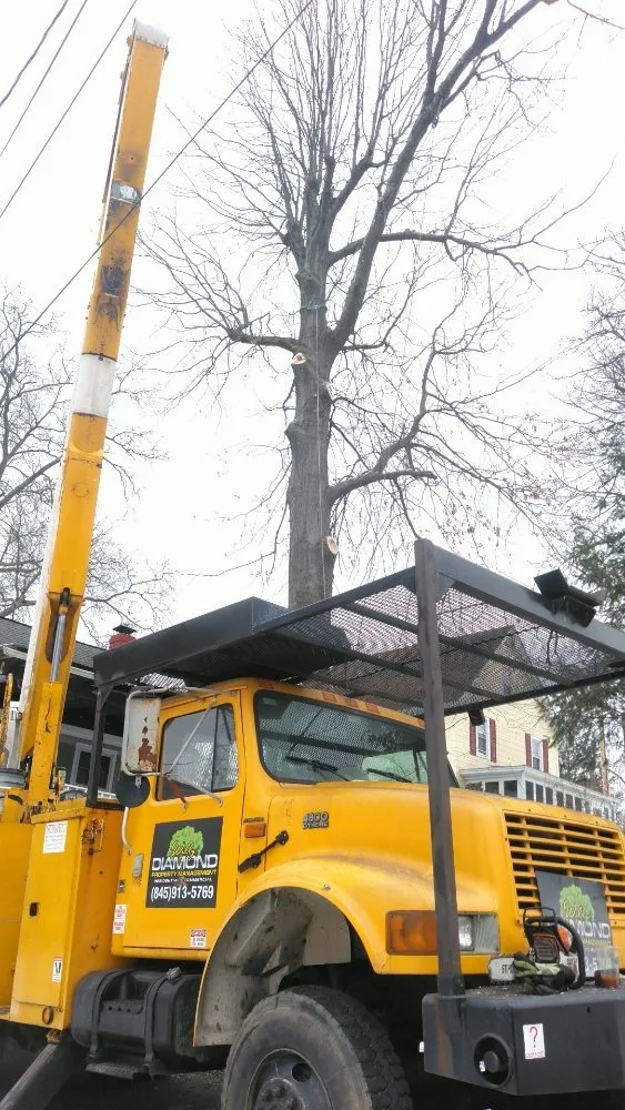 Local yard maintenance experts serving Newburgh, NY - Willy Diamond Property Management