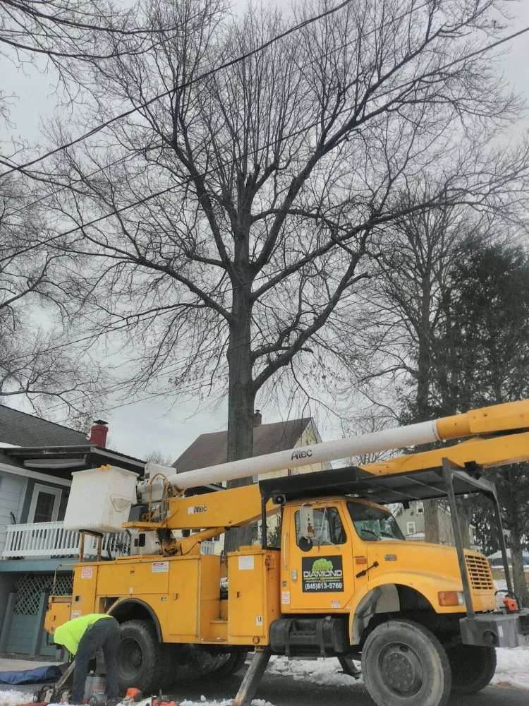 Custom lawn care service experts serving Newburgh, NY - Willy Diamond Property Management