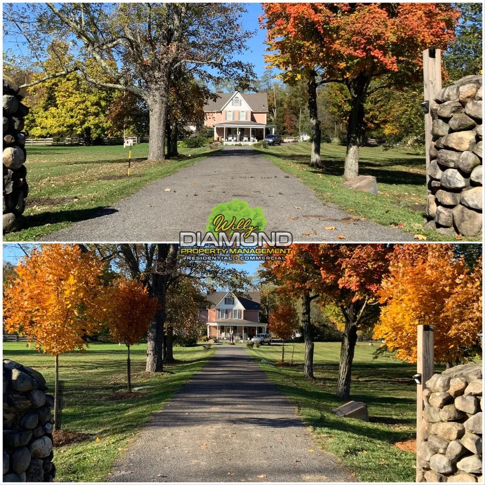 Professional lawn mowing service with custom design in Newburgh, NY by Willy Diamond Property Management