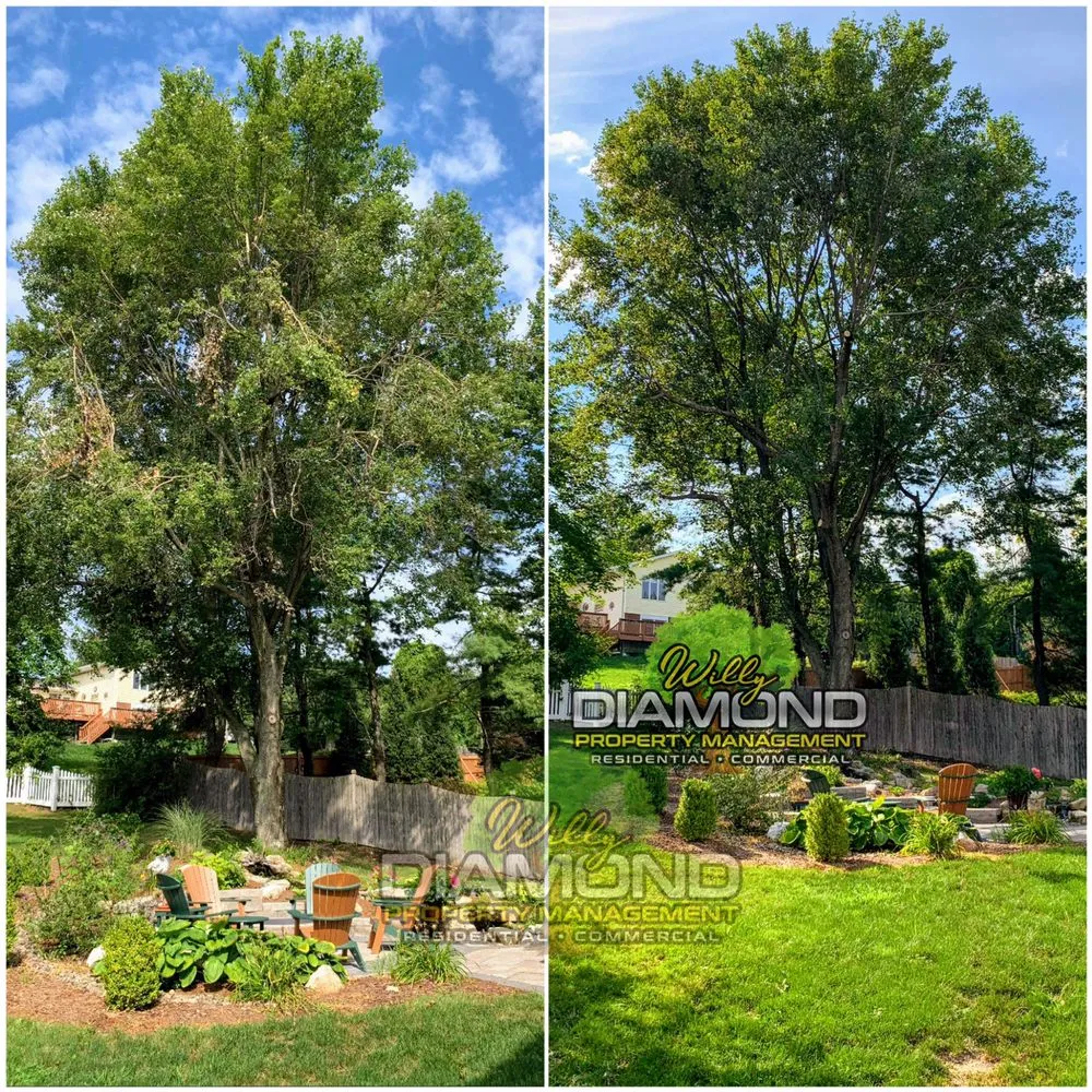 Reliable landscaping services with custom design across Newburgh, NY - Willy Diamond Property Management