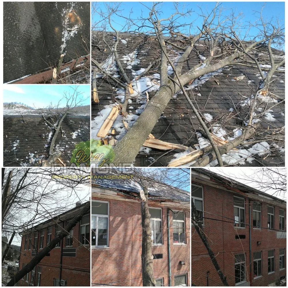 Local lawn mowing service for year-round maintenance in Newburgh, NY by Willy Diamond Property Management