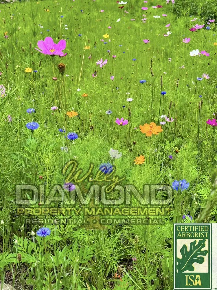 Reliable lawn care service for year-round maintenance in Newburgh, NY by Willy Diamond Property Management