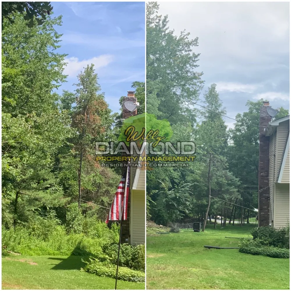 Professional lawn mowing service in Newburgh, NY - Willy Diamond Property Management