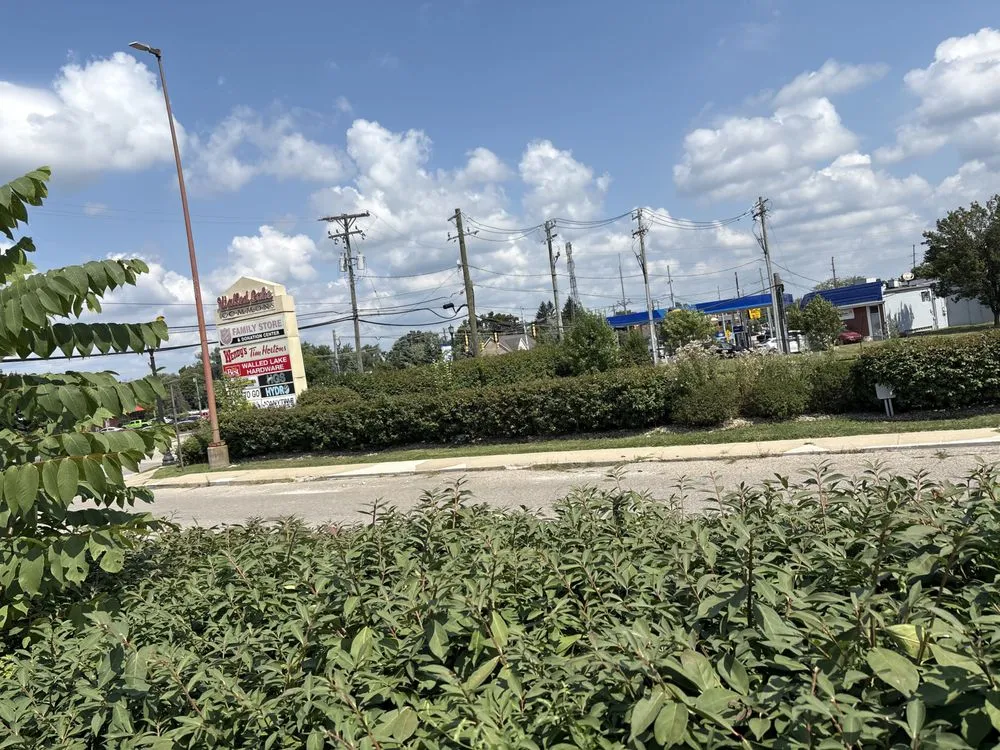 Local lawn care service experts serving Detroit, MI - Willy Landscaping