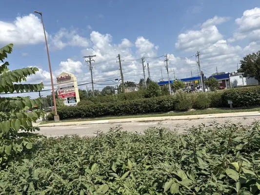 Willy Landscaping Logo