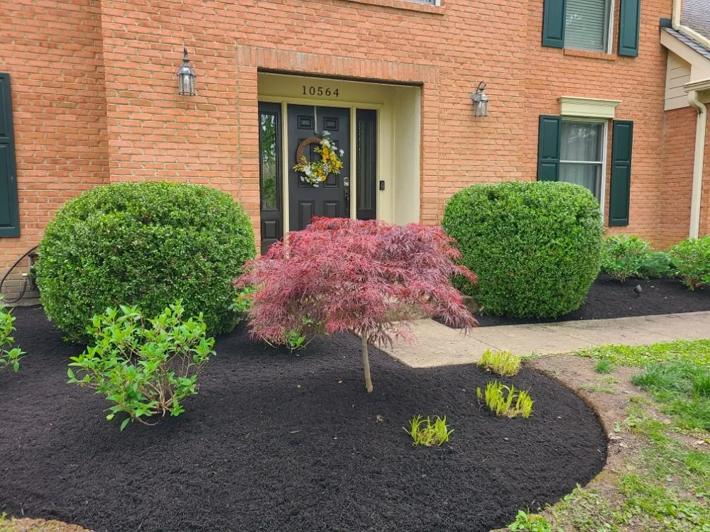 Expert yard cleanup service for homes in Cincinnati, OH by Willy's Landscaping & Maintenance