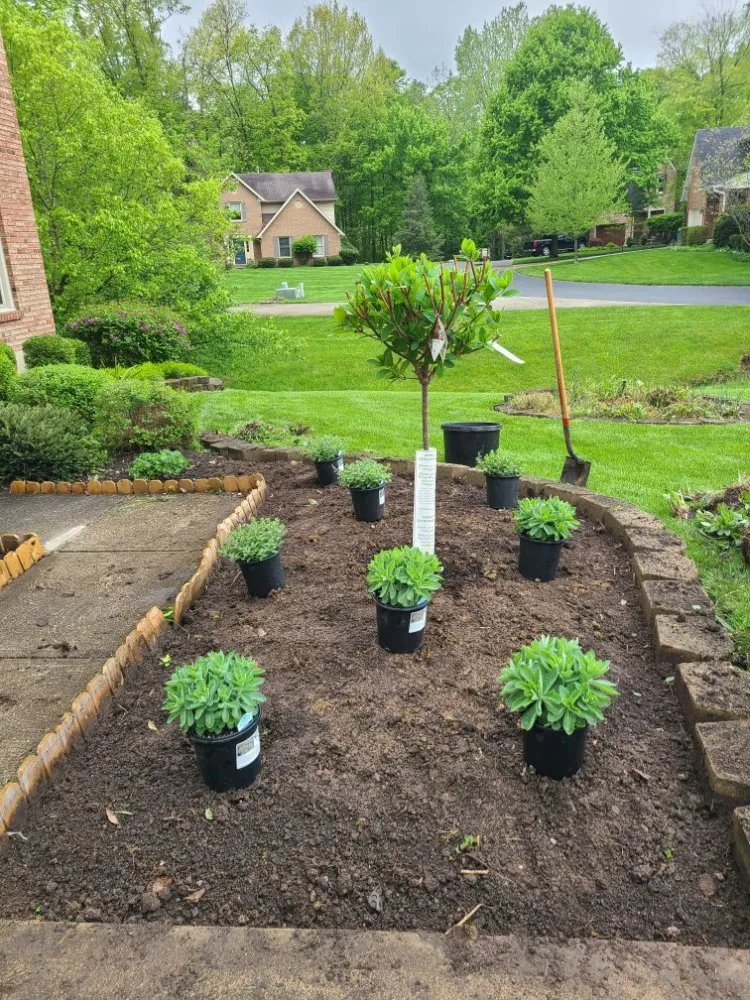 Expert landscape installation for residential properties in Cincinnati, OH by Willy's Landscaping & Maintenance