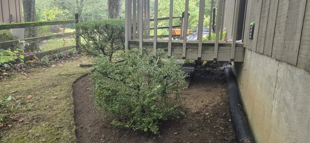 Expert yard maintenance near you across Cincinnati, OH - Willy's Landscaping & Maintenance