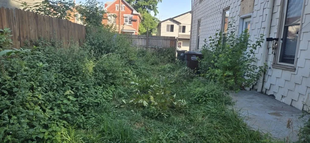 Affordable yard maintenance in Cincinnati, OH - Willy's Landscaping & Maintenance