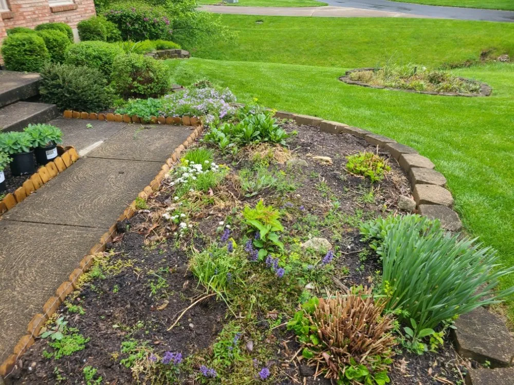 Expert yard maintenance for year-round maintenance across Cincinnati, OH - Willy's Landscaping & Maintenance