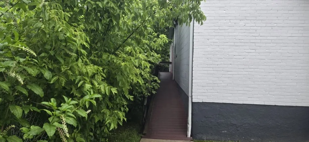 Professional outdoor landscaping in Cincinnati, OH by Willy's Landscaping & Maintenance