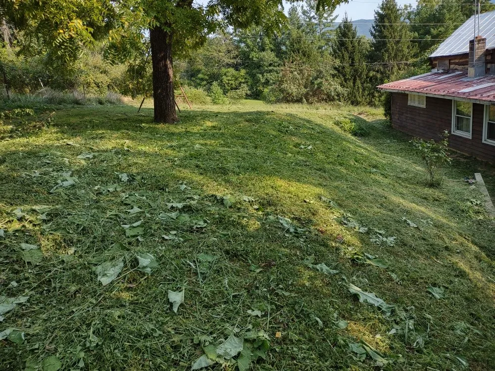 Professional lawn mowing service experts serving Buena Vista, VA - Willy's Landscaping