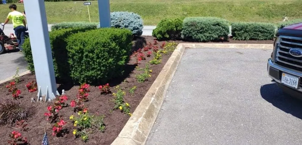 Top-rated garden landscaping in Buena Vista, VA - Willy's Landscaping