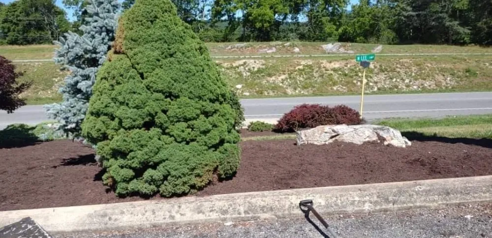 Trusted garden landscaping in Buena Vista, VA - Willy's Landscaping