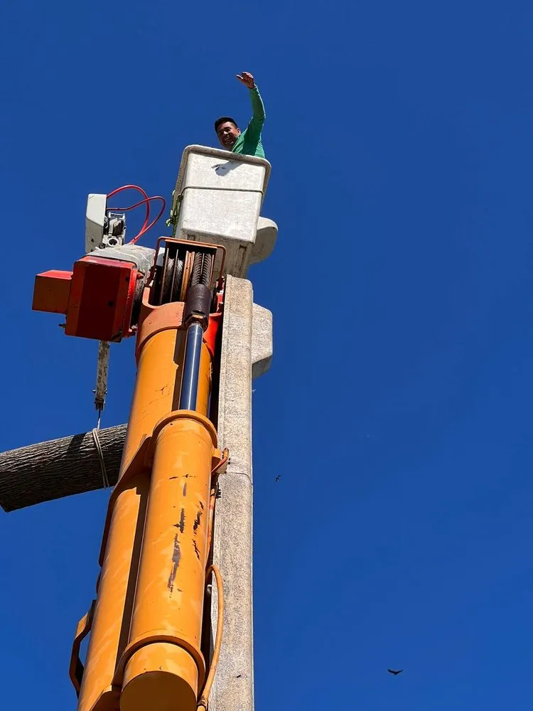 Top-rated landscape design experts serving Kingston, NY - Willy's Landscaping