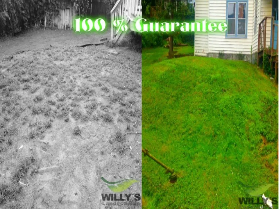 Expert lawn care service in Kingston, NY by Willy's Landscaping