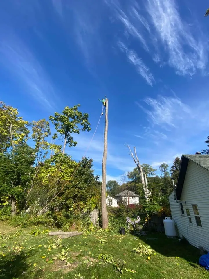 Local landscape installation in Kingston, NY by Willy's Landscaping