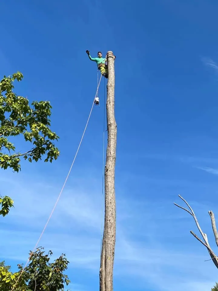 Trusted yard maintenance in Kingston, NY by Willy's Landscaping