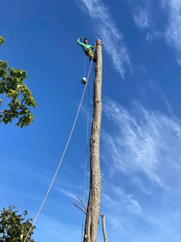 Expert residential landscaping in Kingston, NY - Willy's Landscaping