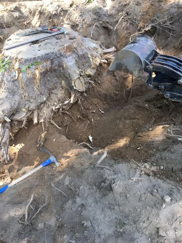 Local lawn care service experts serving Kingston, NY - Willy's Landscaping