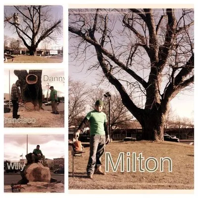 Willy's Landscaping Logo