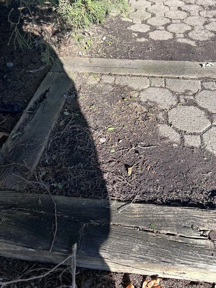 Trusted landscaping services experts serving Trenton, NJ - Willy's Landscaping