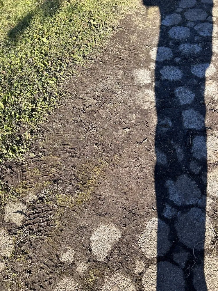 Expert landscape installation in Trenton, NJ by Willy's Landscaping