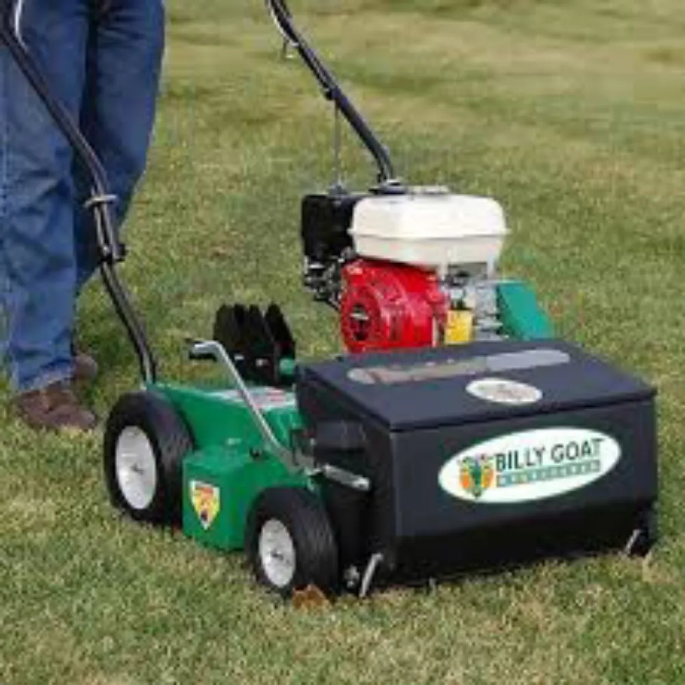 Top-rated yard cleanup service for homes across Chesapeake, VA - Willy's Lawn Care & Pressure Washer Service