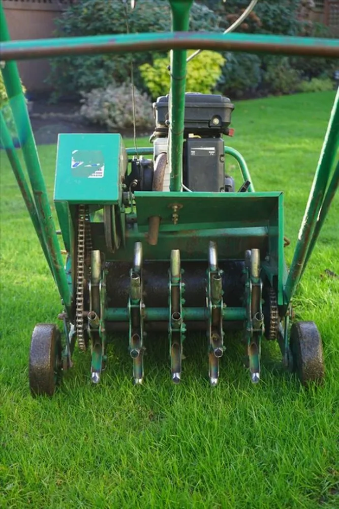 Affordable lawn mowing service experts serving Chesapeake, VA - Willy's Lawn Care & Pressure Washer Service