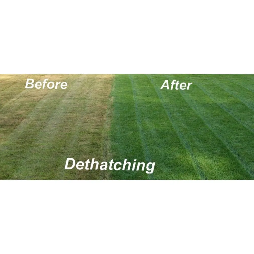 Reliable landscape design experts serving Chesapeake, VA - Willy's Lawn Care & Pressure Washer Service