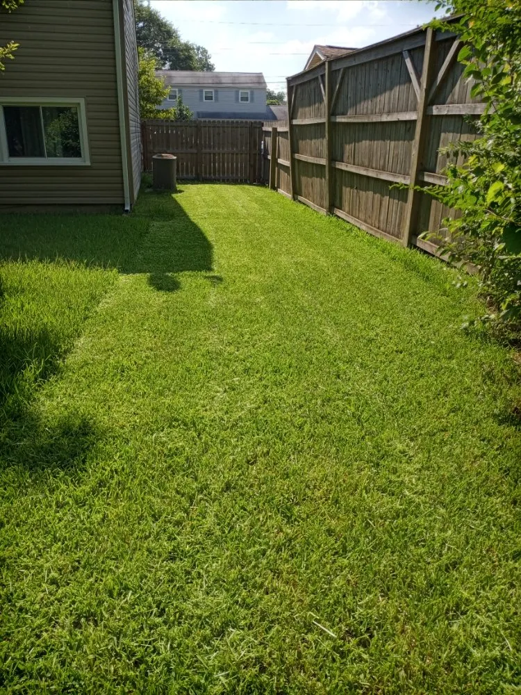 Reliable lawn care service in Chesapeake, VA by Willy's Lawn Care & Pressure Washer Service