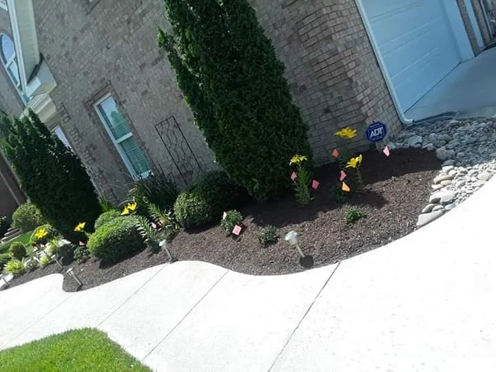 Affordable lawn care service experts serving Chesapeake, VA - Willy's Lawn Care & Pressure Washer Service