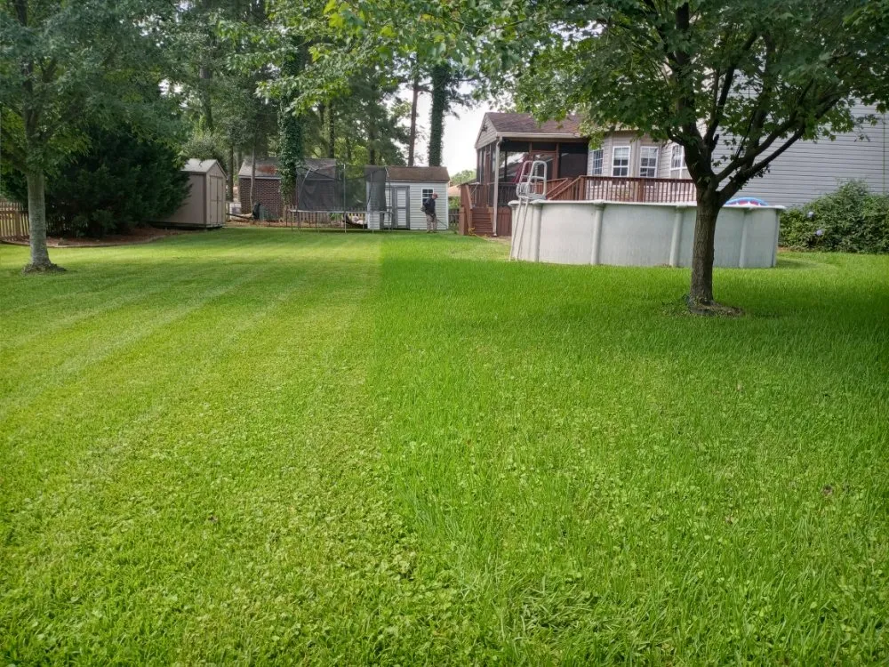 Top-rated landscape installation in Chesapeake, VA - Willy's Lawn Care & Pressure Washer Service