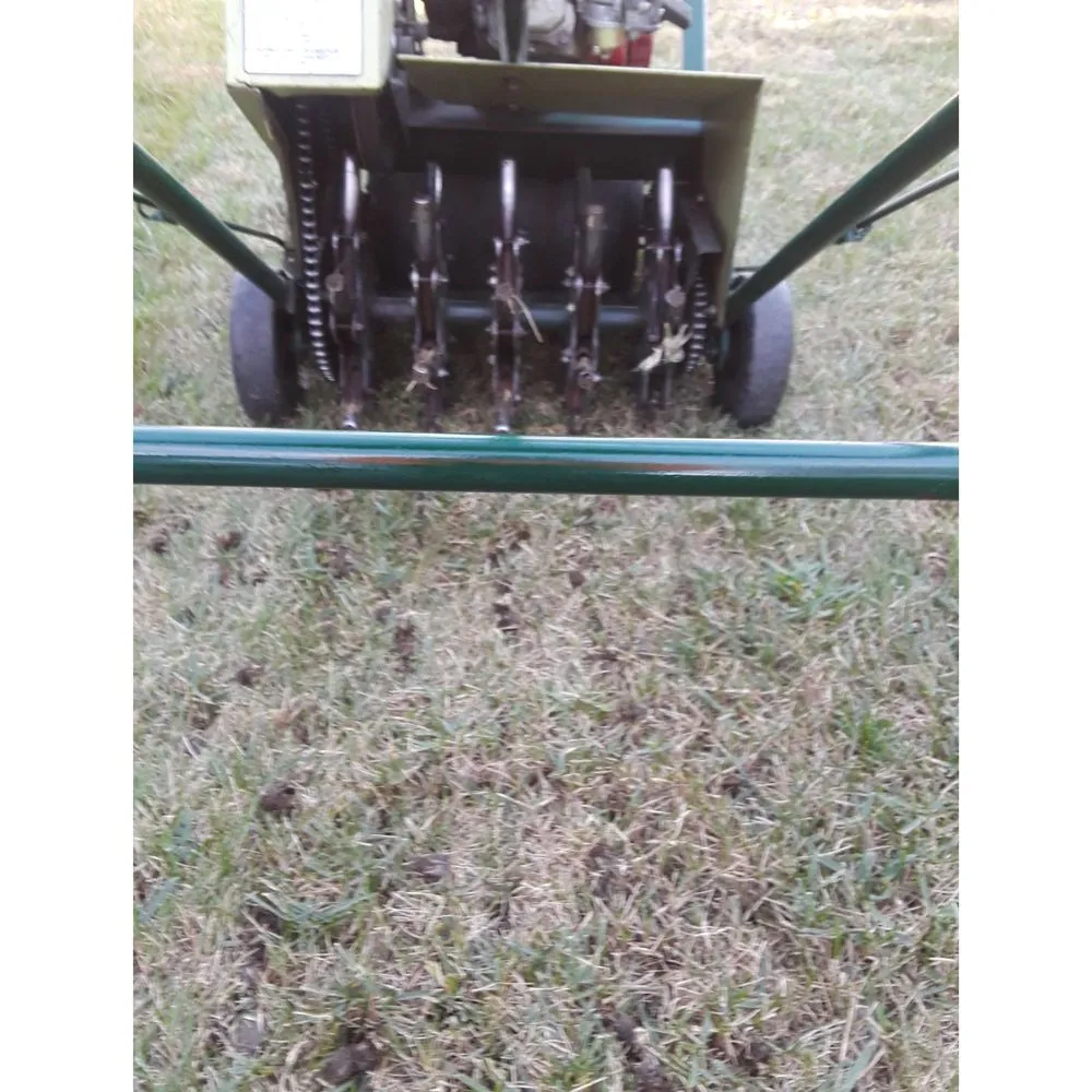 Local yard maintenance for year-round maintenance in Chesapeake, VA by Willy's Lawn Care & Pressure Washer Service