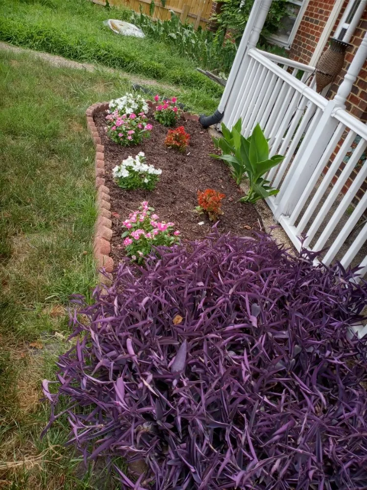 Custom landscape installation in Chesapeake, VA by Willy's Lawn Care & Pressure Washer Service