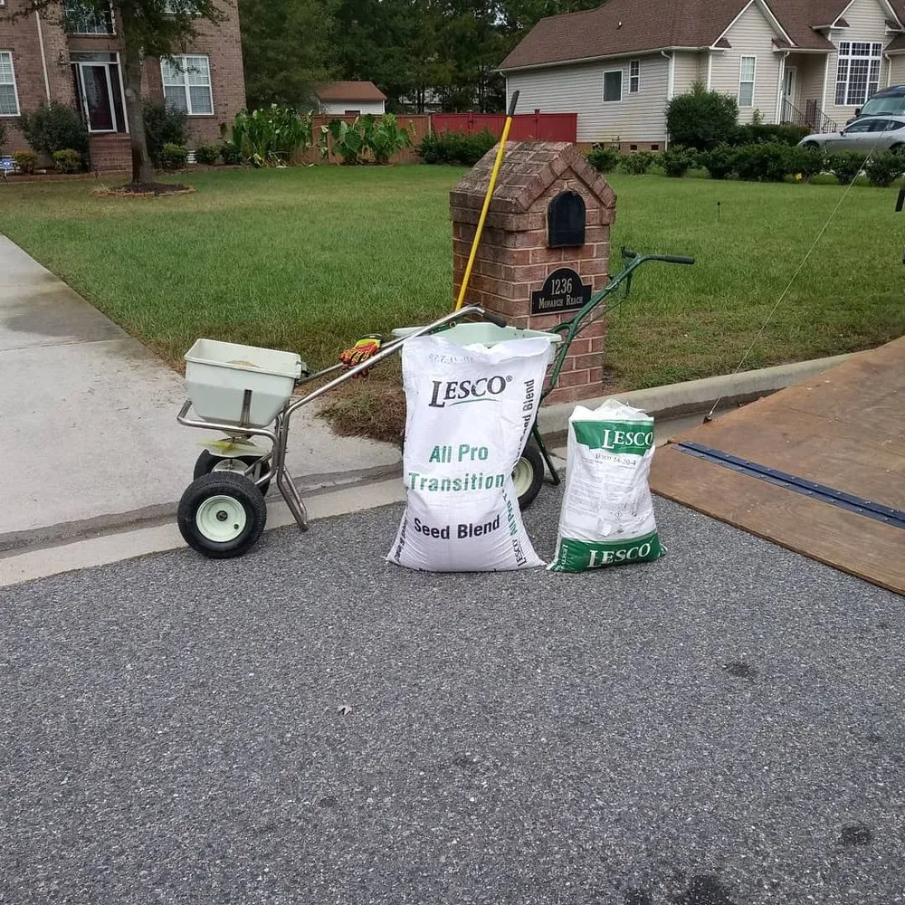 Professional yard cleanup service in Chesapeake, VA - Willy's Lawn Care & Pressure Washer Service