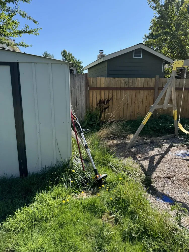 Expert landscape installation in Maple Valley, WA - Willy's Property Service