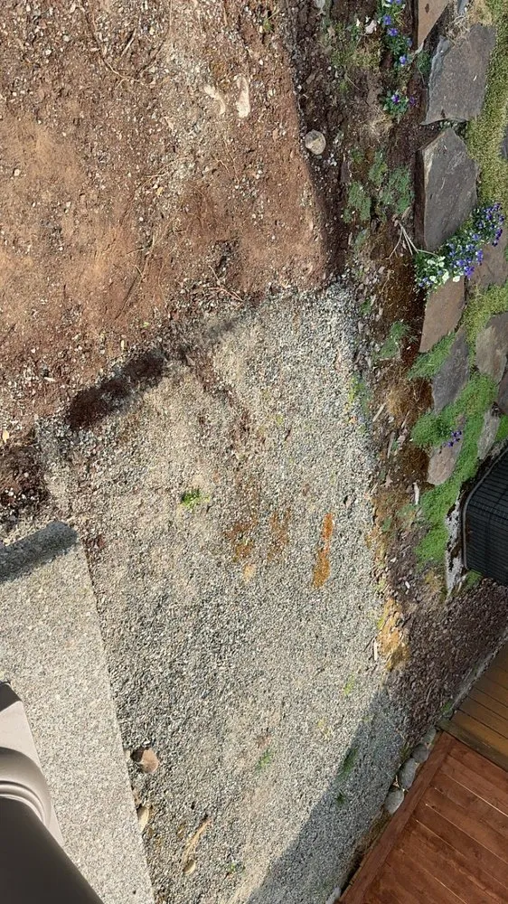 Affordable lawn care service in Maple Valley, WA by Willy's Property Service