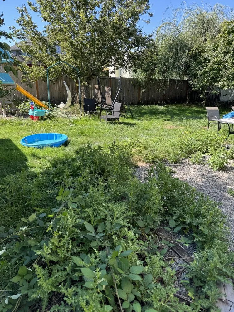 Reliable outdoor landscaping for year-round maintenance across Maple Valley, WA - Willy's Property Service