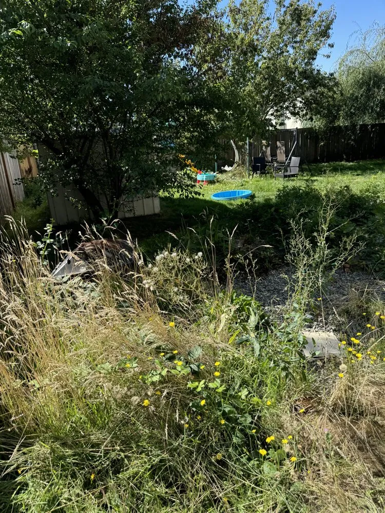 Affordable garden landscaping in Maple Valley, WA by Willy's Property Service