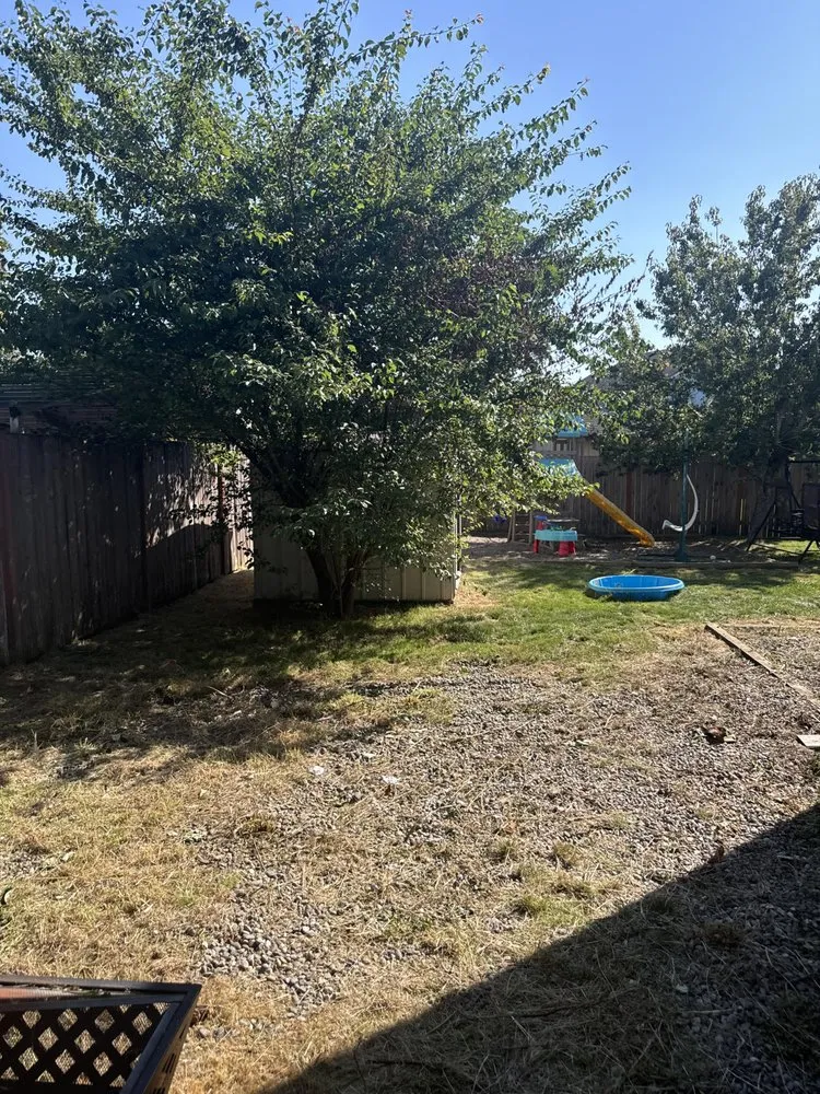 Trusted outdoor landscaping for year-round maintenance in Maple Valley, WA by Willy's Property Service