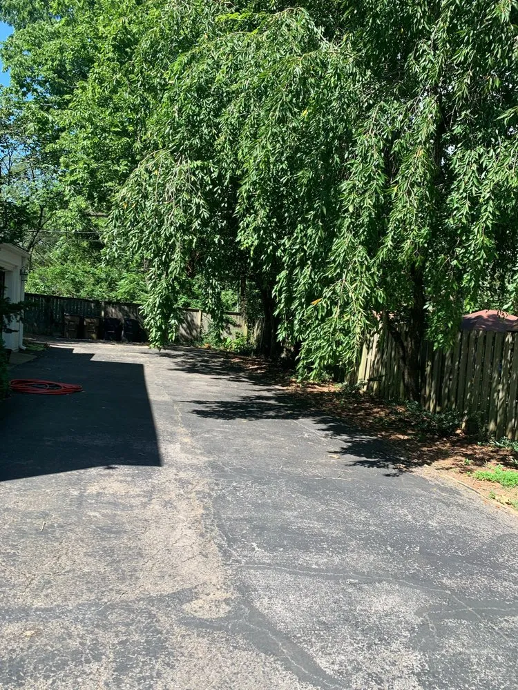 Reliable landscape design in Antioch, TN by Willy’s Tree Service