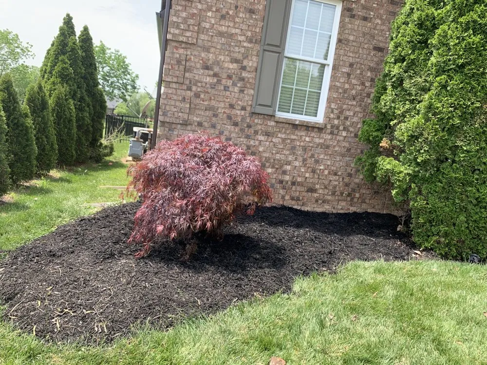 Custom landscape design in Antioch, TN by Willy’s Tree Service
