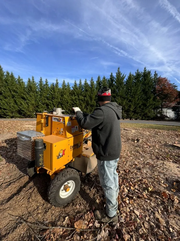 Reliable garden landscaping in Silver Spring, MD - Willys Treemen and Landscaping Services