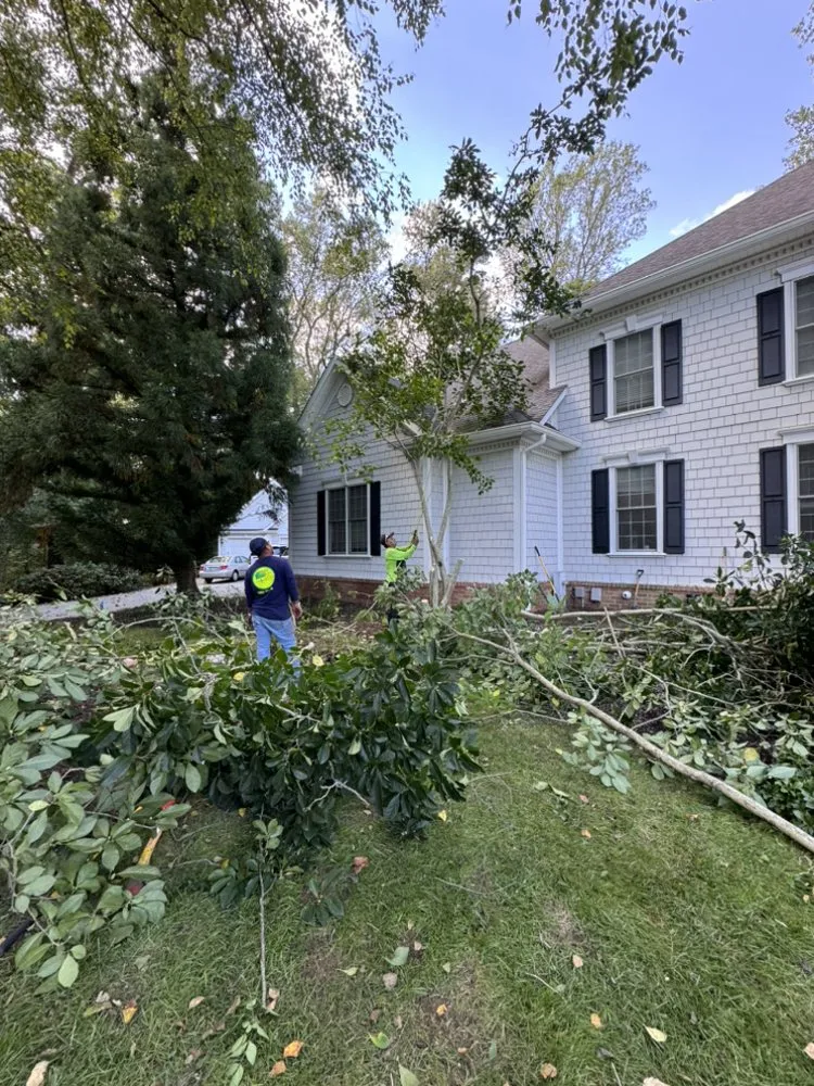 Professional landscape design with custom design across Silver Spring, MD - Willys Treemen and Landscaping Services