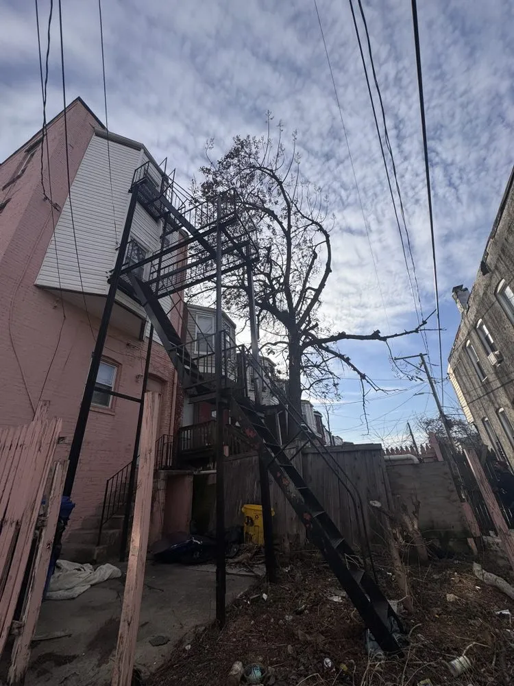 Professional landscape installation experts serving Silver Spring, MD - Willys Treemen and Landscaping Services