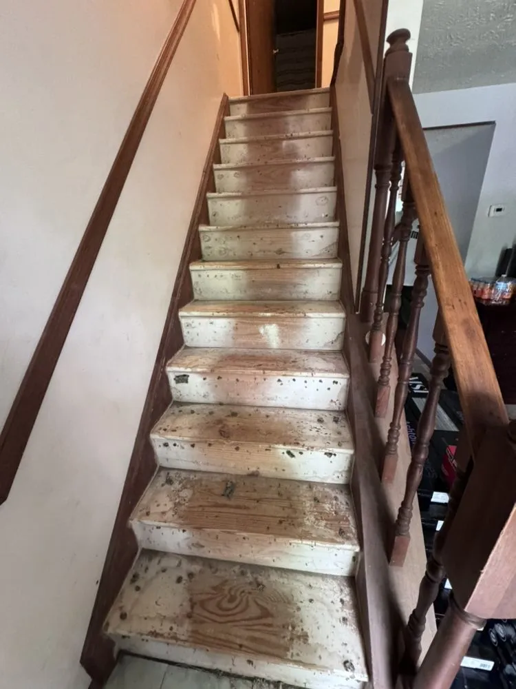 Top-rated landscaping services experts serving Silver Spring, MD - Willys Treemen and Landscaping Services