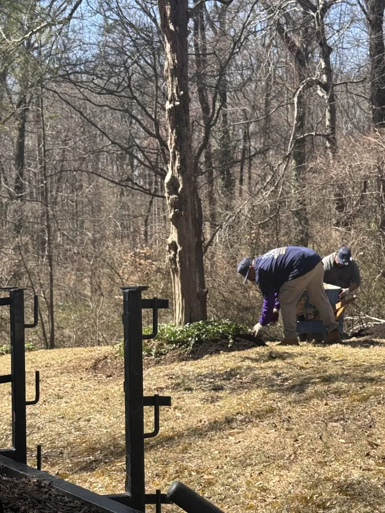 Top-rated landscape installation for outdoor upgrades in Silver Spring, MD by Willys Treemen and Landscaping Services