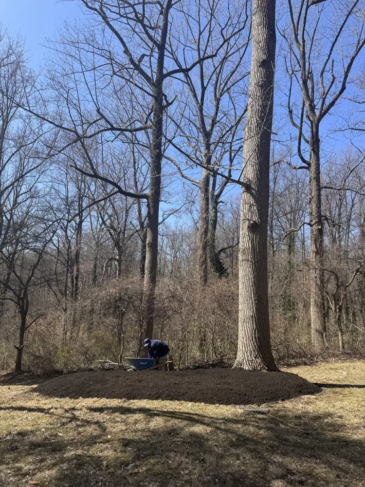 Top-rated outdoor landscaping in Silver Spring, MD - Willys Treemen and Landscaping Services