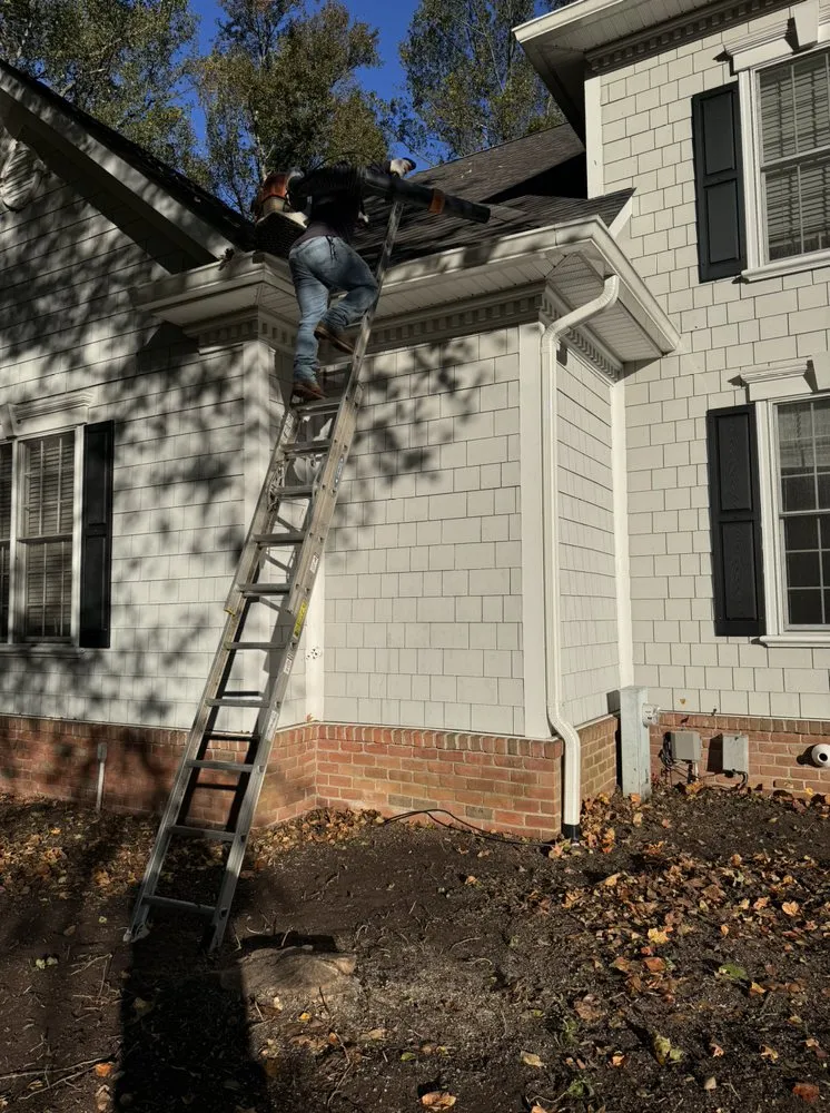 Custom lawn mowing service in Silver Spring, MD - Willys Treemen and Landscaping Services